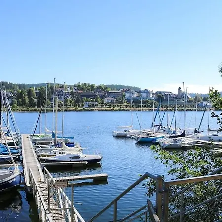 Le Petit- Niedliches Ferienapartment Mit Pool Schluchsee