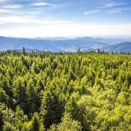 Appartement Le Petit- Niedliches Ferienapartment Mit Pool