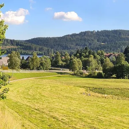 Le Petit- Niedliches Ferienapartment Mit Pool Schluchsee