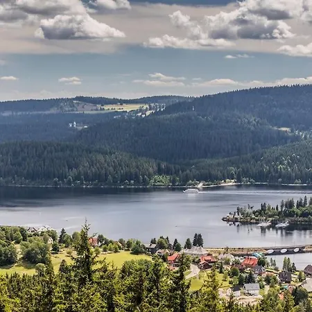 Le Petit- Niedliches Ferienapartment Mit Pool * Schluchsee