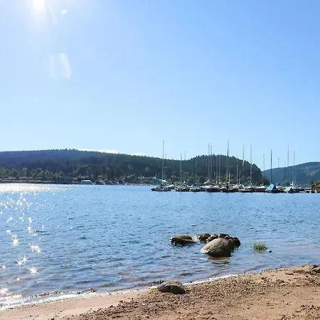 Le Petit- Niedliches Ferienapartment Mit Pool Schluchsee